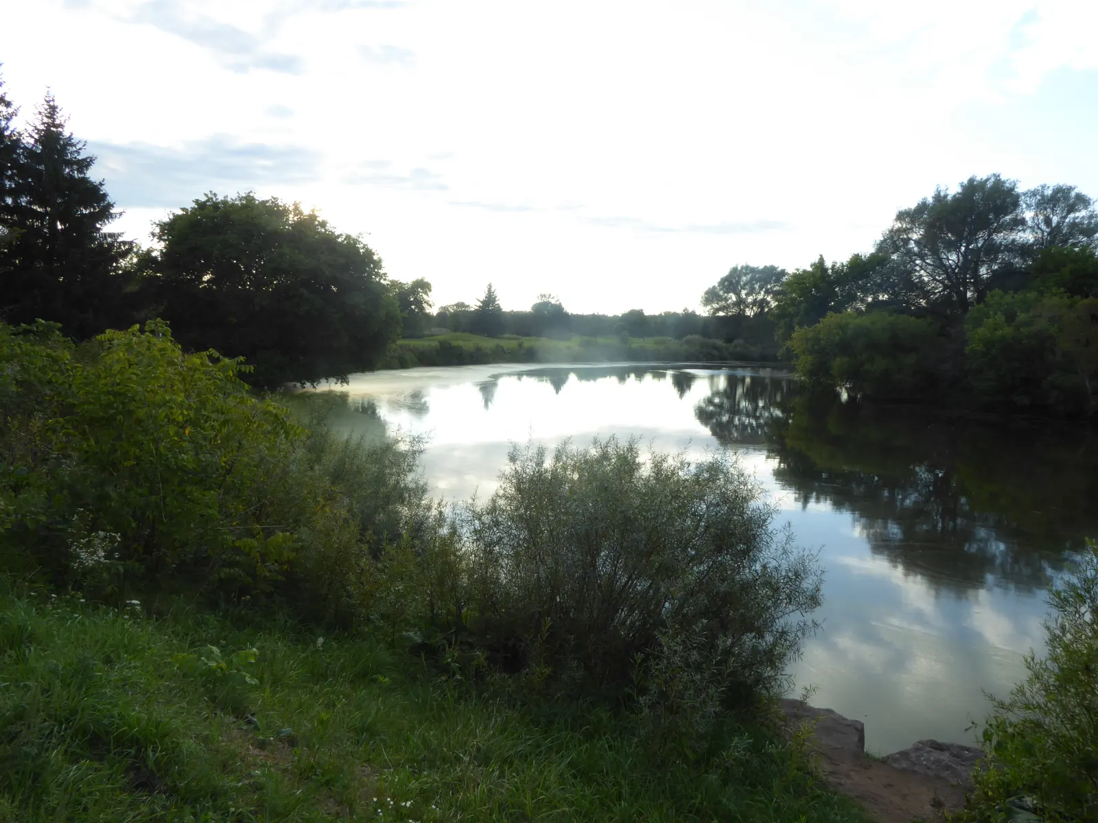 The Thames River seen from Lions Park, with green banks and still water