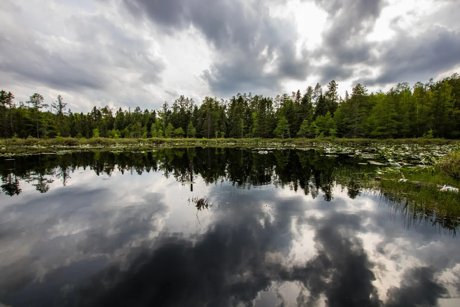 A pond in Komoka Provincial Park reflecting the forest edge and a cloudy sky