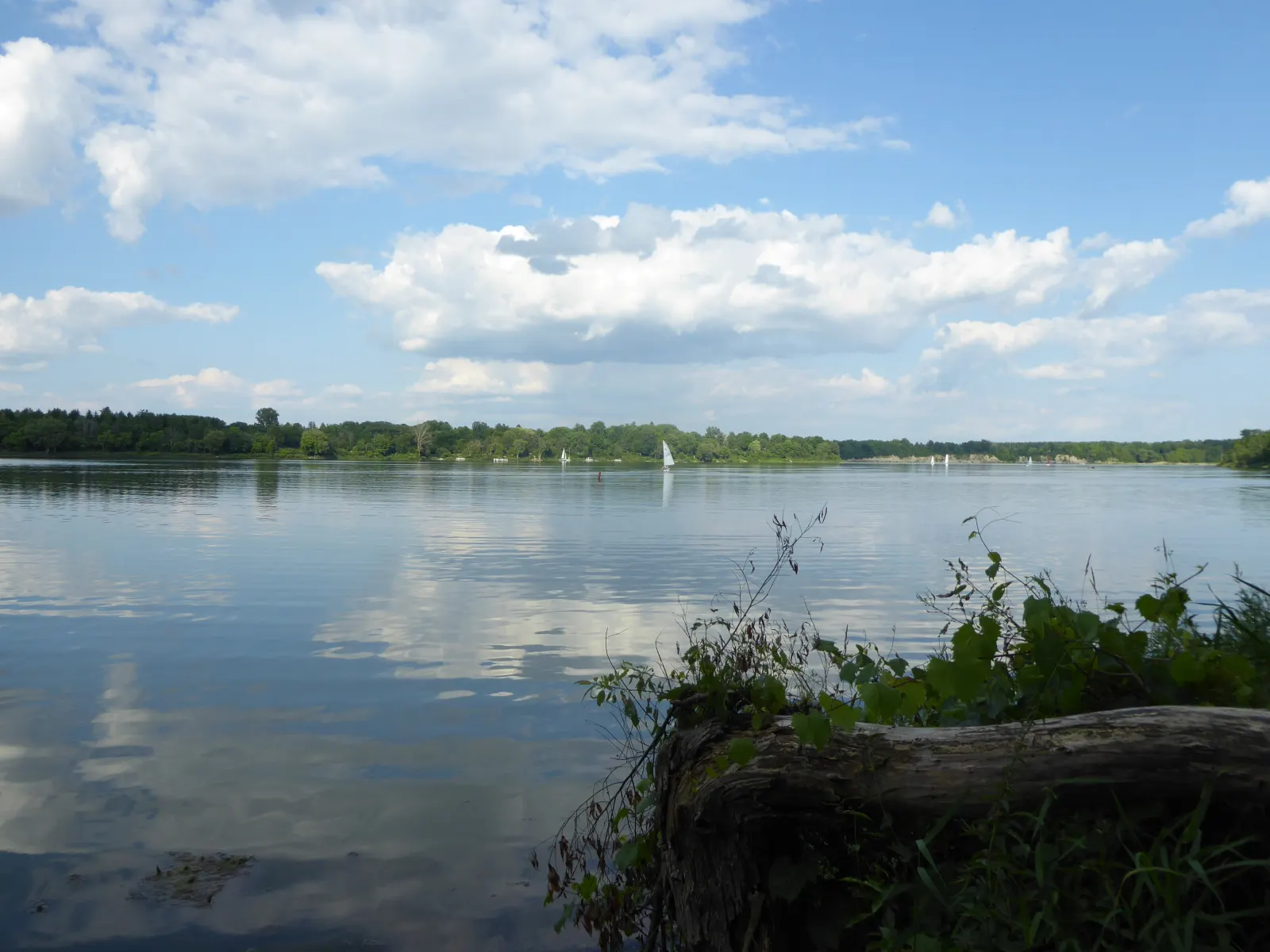 Fanshawe Lake on a summer day, with sailboats far off and clouds reflected in the water