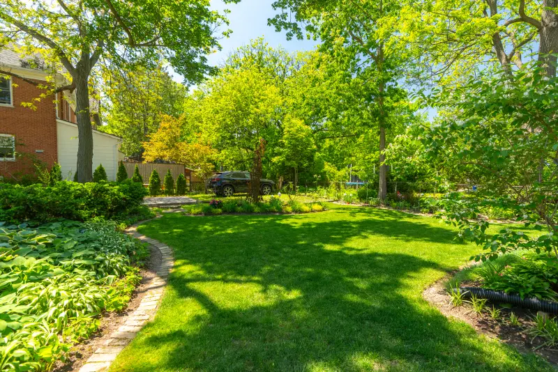 Side yard with lawn and mature trees