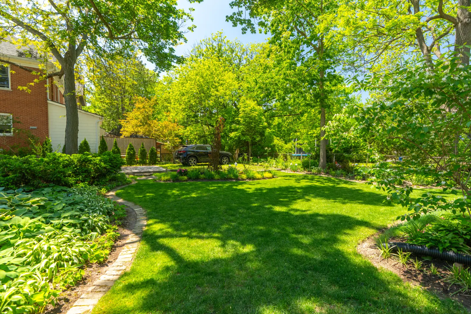 Side yard with lawn and mature trees