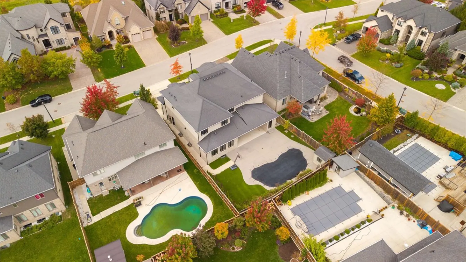 The yard and pool from the air