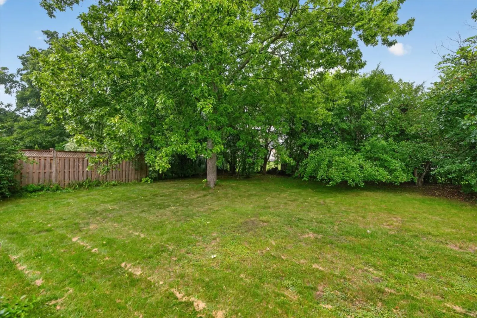 Deep backyard with mature trees