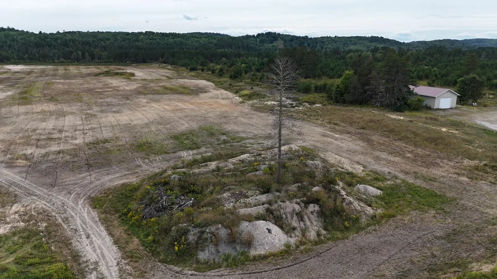 Cleared ground around a stand of trees and rocks, seen from the air