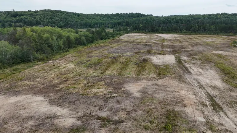 Wide view across the open acreage toward the tree line