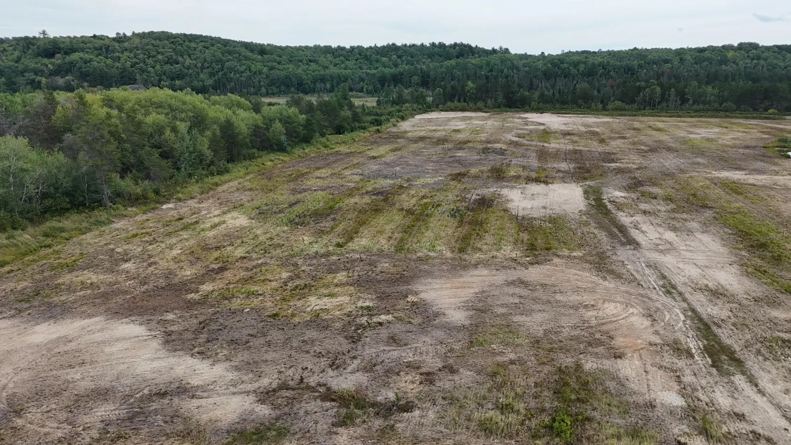Wide view across the open acreage toward the tree line